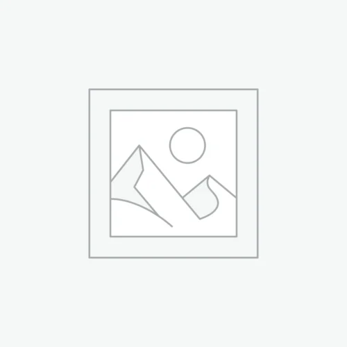 woocommerce-placeholder Condimentum Mattis